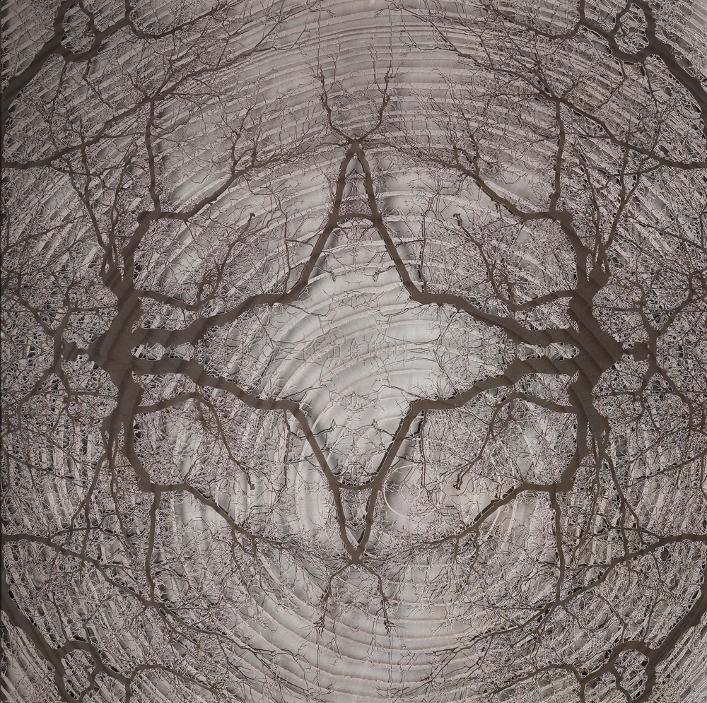 Elapse