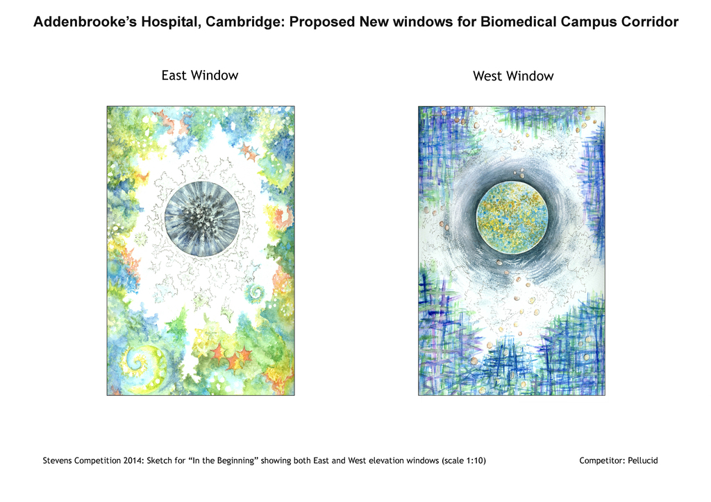 Design Submission for Hospital Windows - A Tale of Another Lost Idea