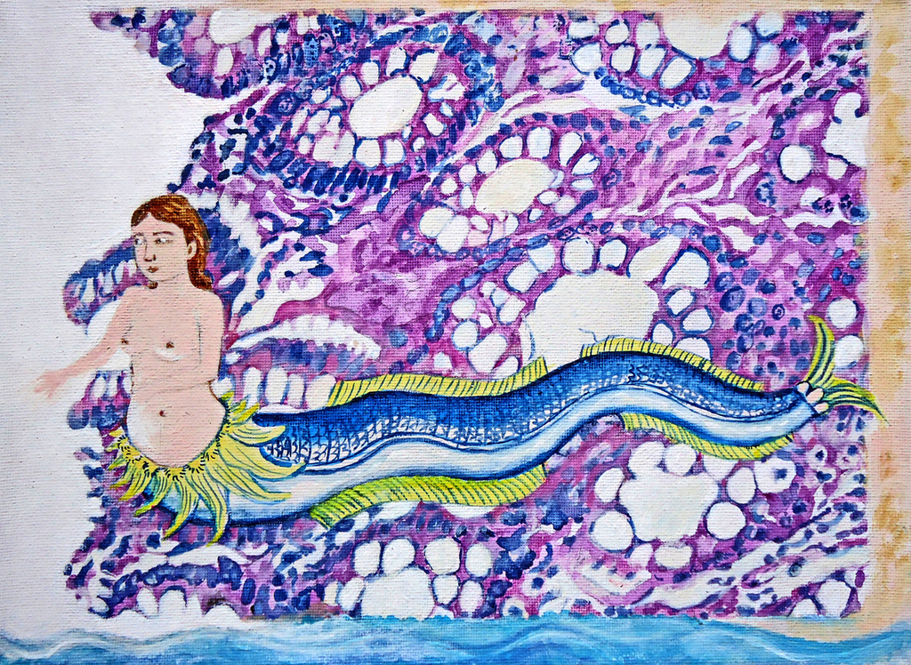 Vitality and mortality 7