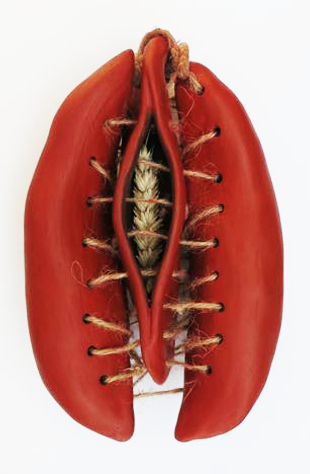 Terracotta Vigin