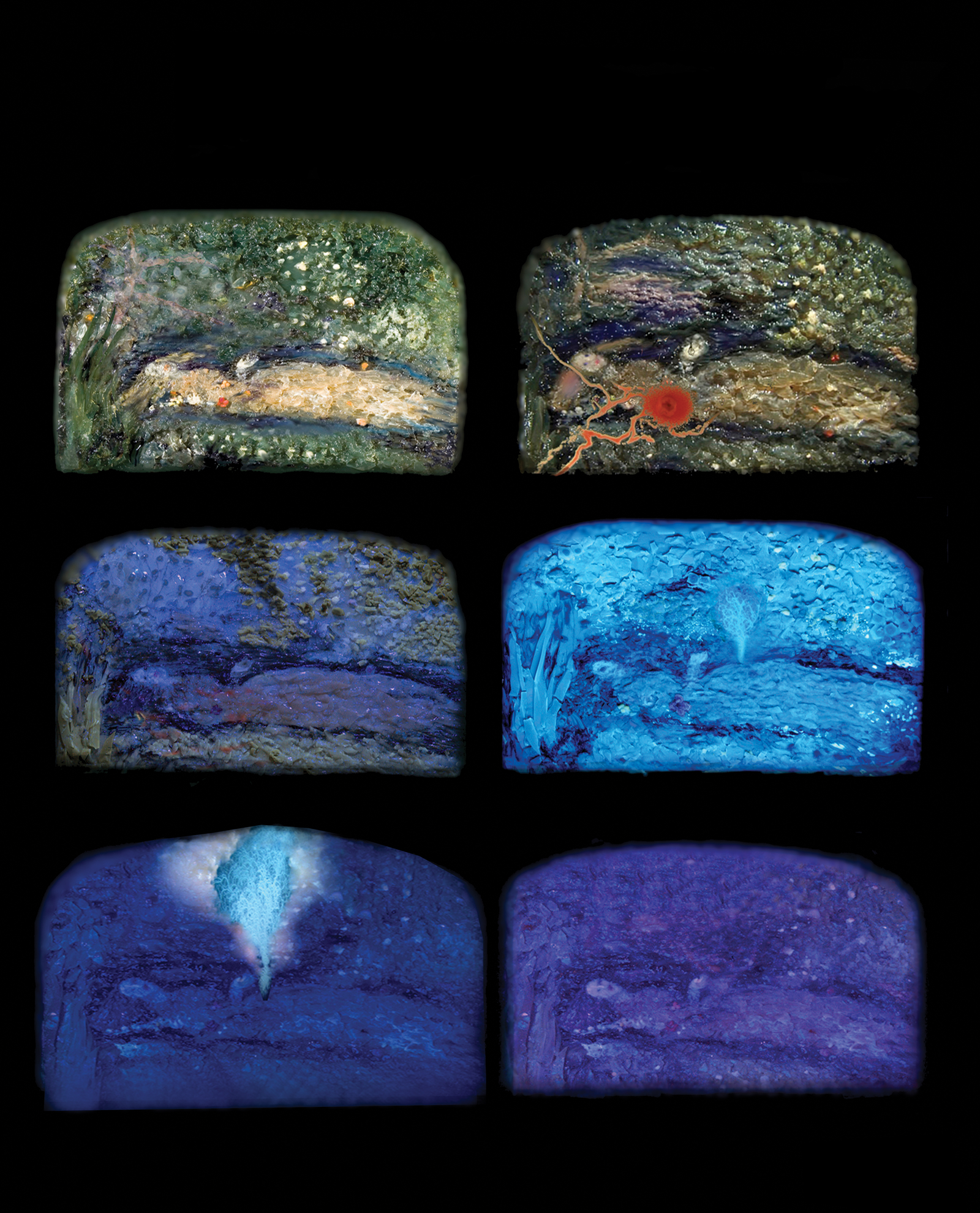 6 Days Goodbye Poems Of Ophelia, video