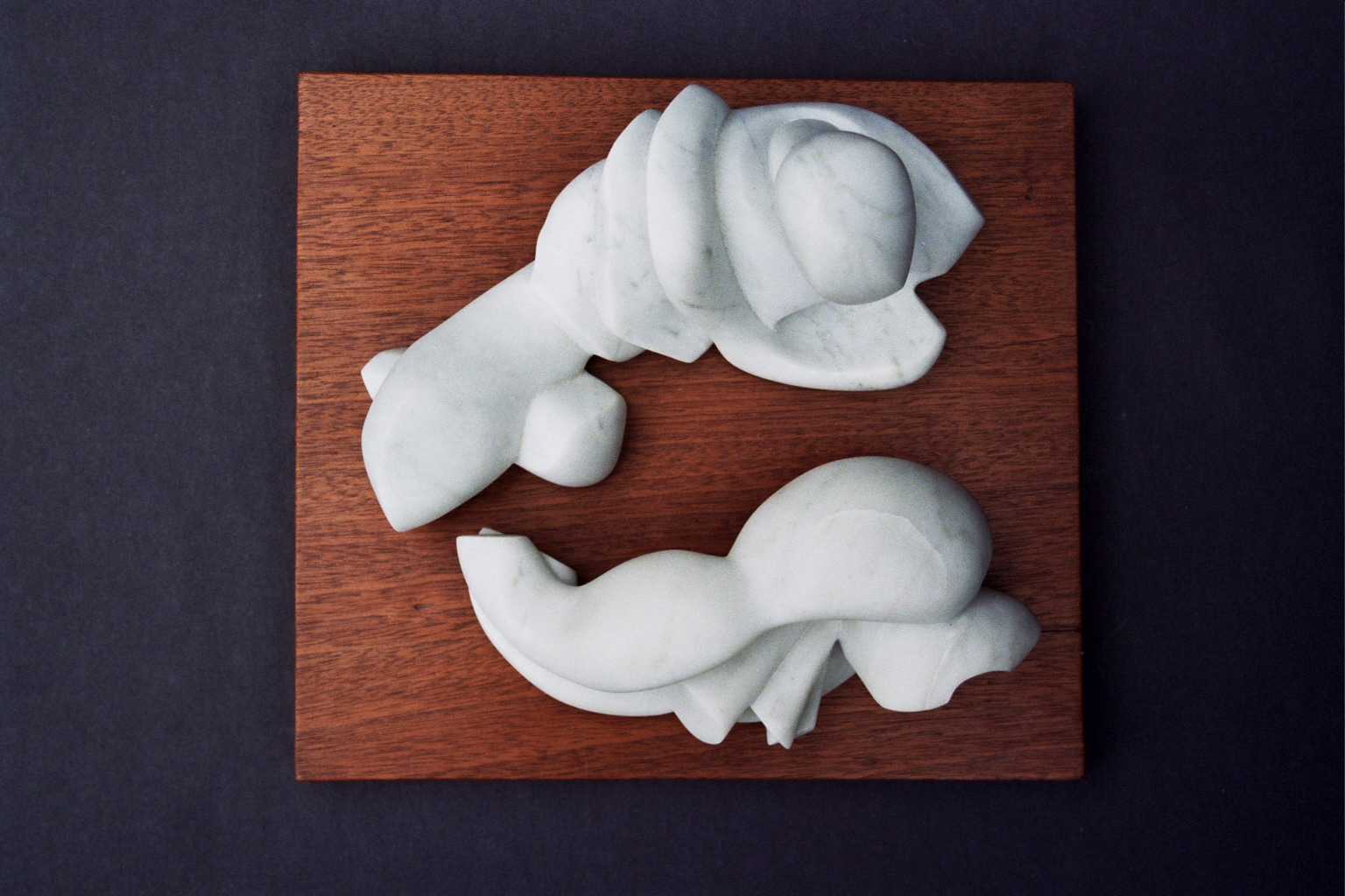 Two Tidal Figures