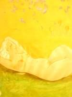 Erotic repose 