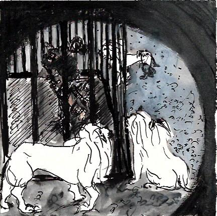 circus 8