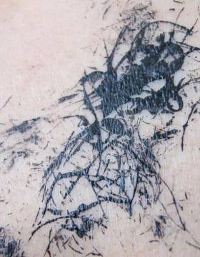 Insect Tattoo Japan 2011