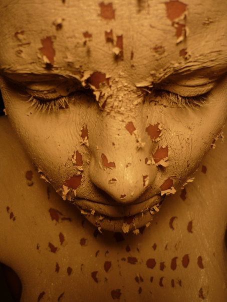 Genesis 2008