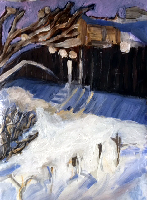 Snowy Backyard